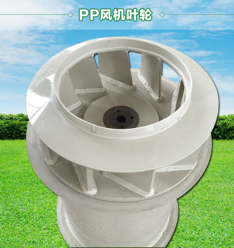 1705022539209514.jpg 1494985655.jpg